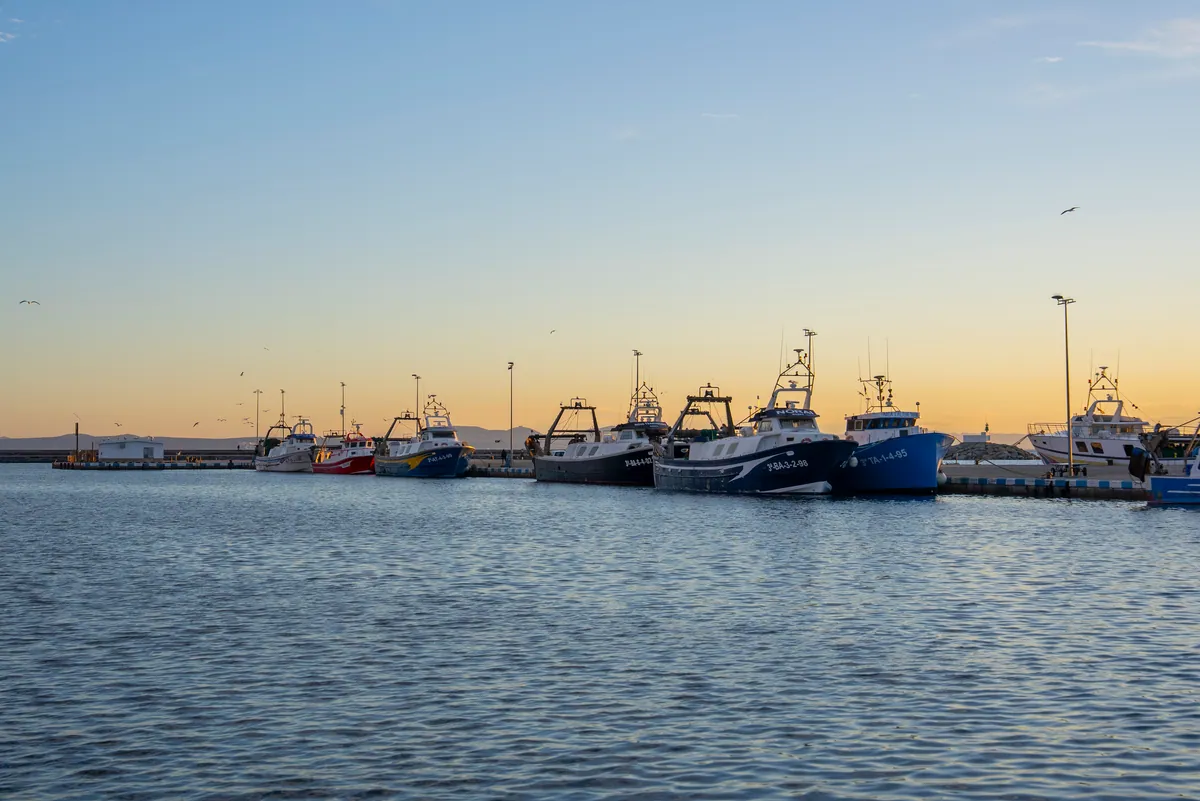 La flota pesquera de Roses amarrada al port a la posta de sol