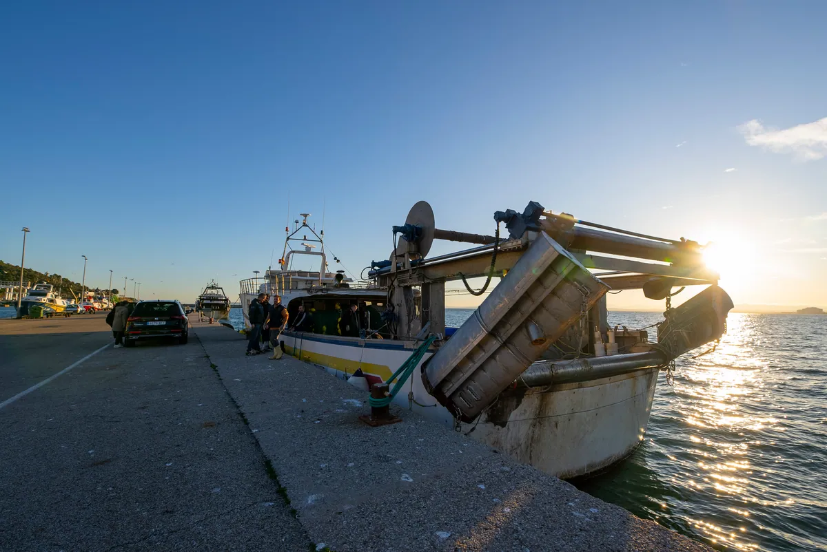 Barques d’arrossegament amarrades al port de Roses durant la veda